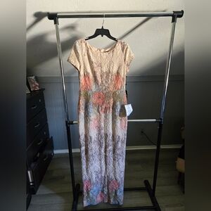 Adrianna Papell Lace Maxi Dress - Cream and Pink